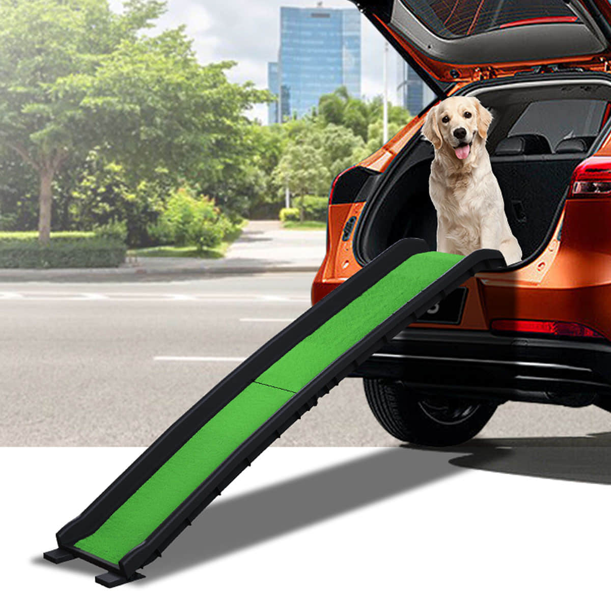 Dog Ramp