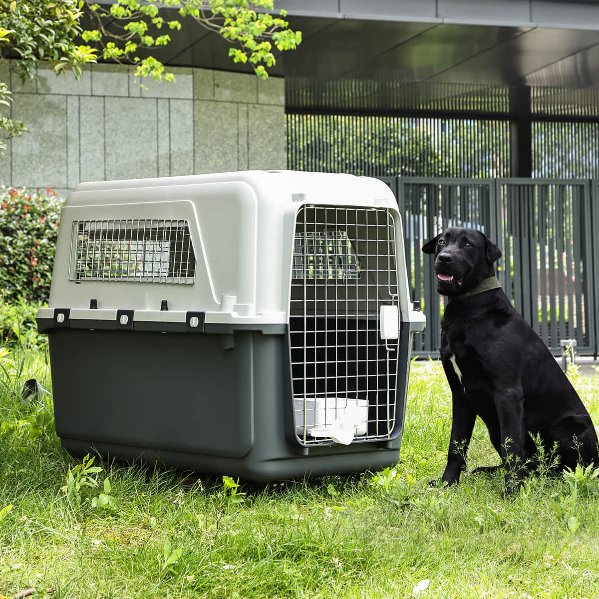Travel Pet Crate
