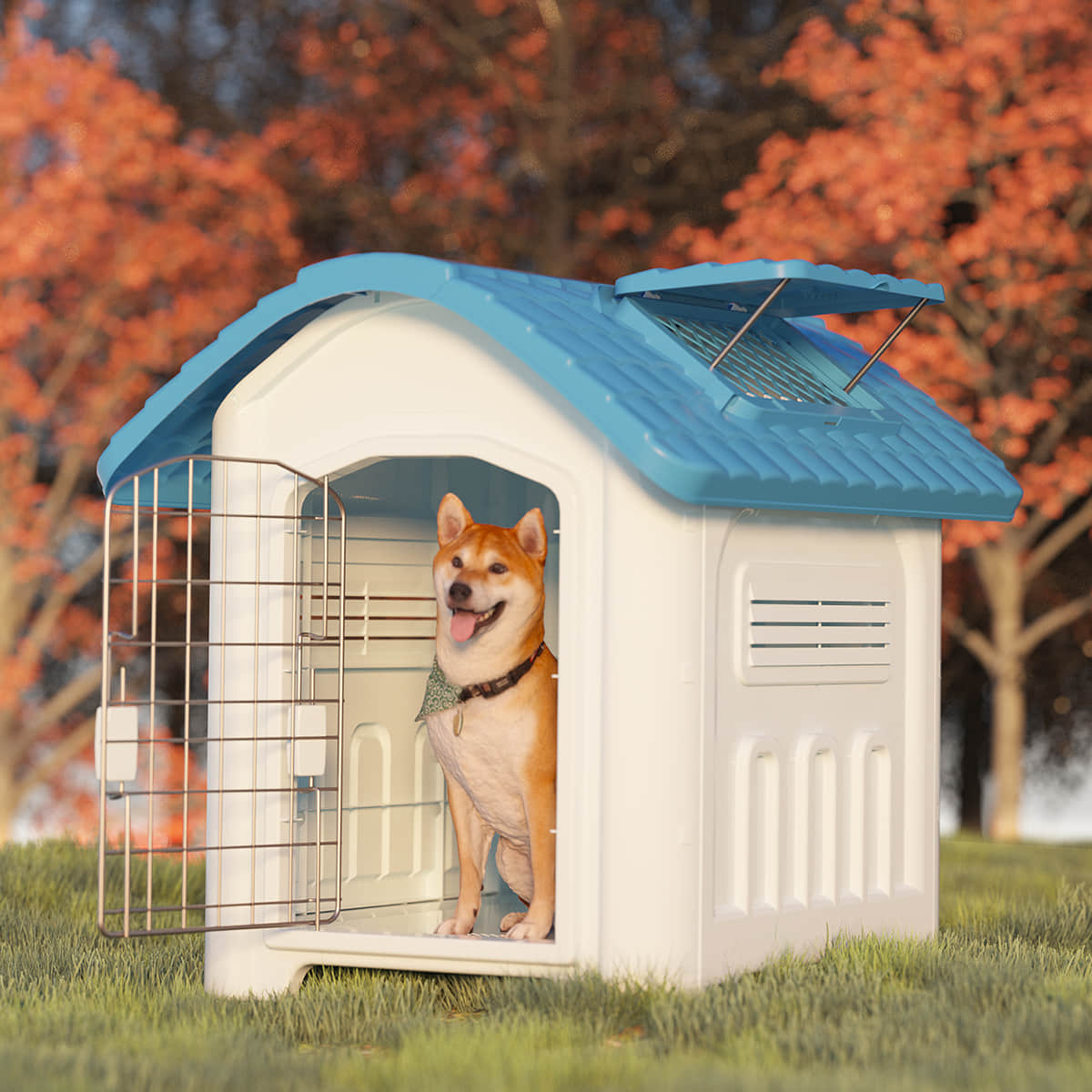 Dog House